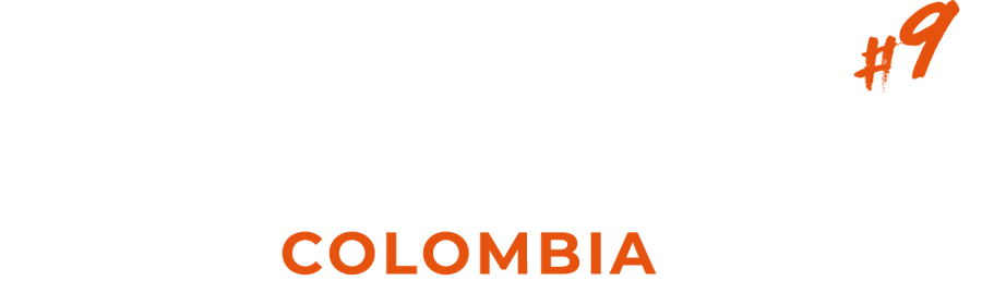 logo-bridges-9 logo-bridges-9